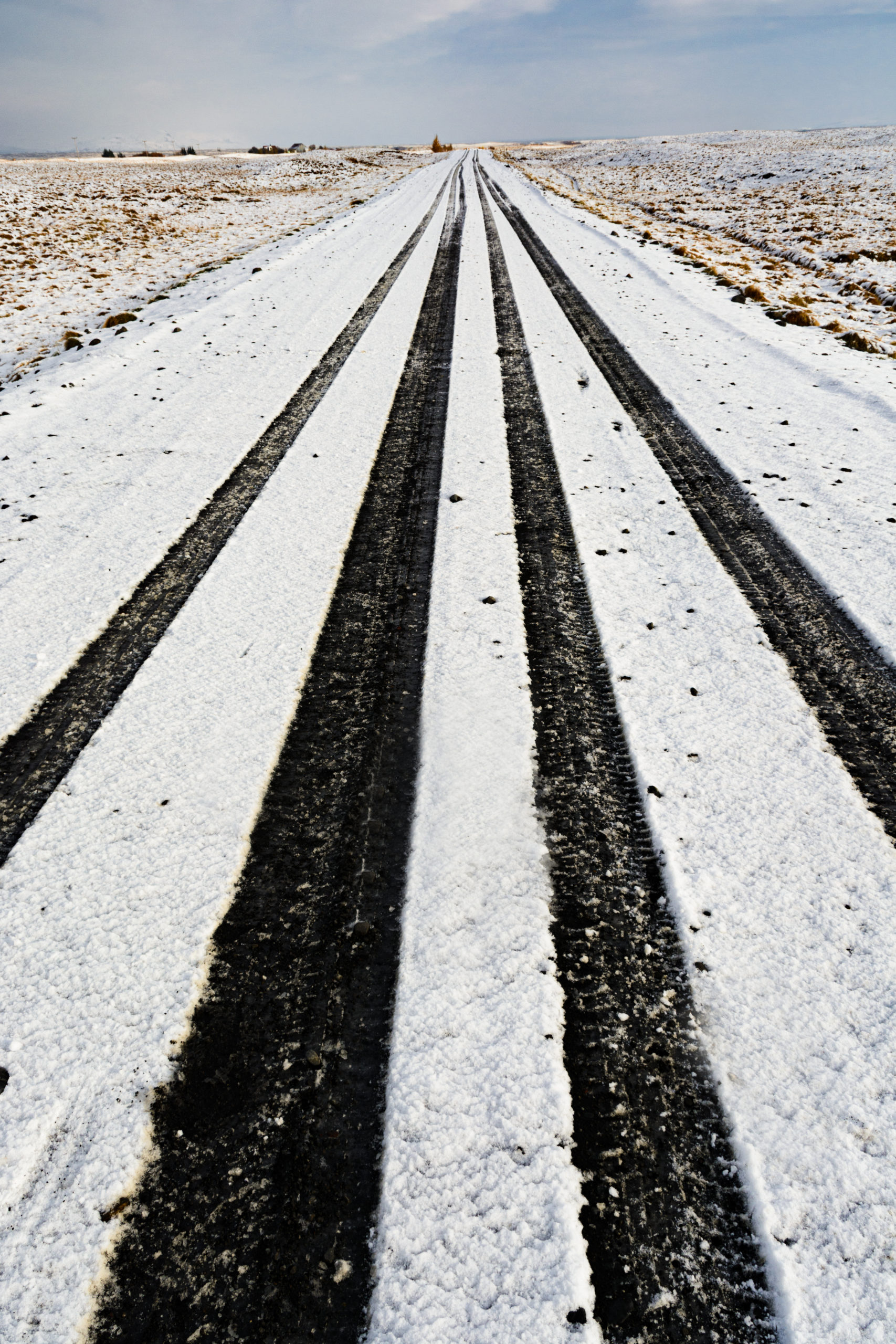 Snowy road treads. Zebra
